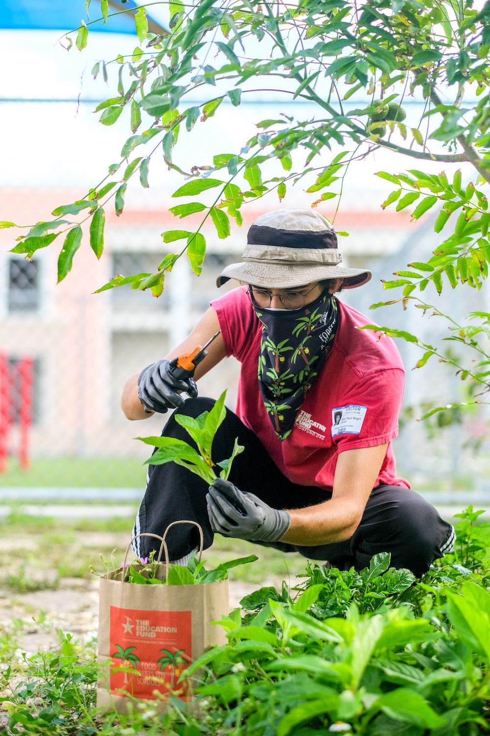 The Education Fund harvests fresh produce from two of its 26 Food Forests for delivery to students and their families via self-driving test vehicles.