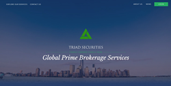 Screenshot of triad Securities' new homepage - design by Digital Silk