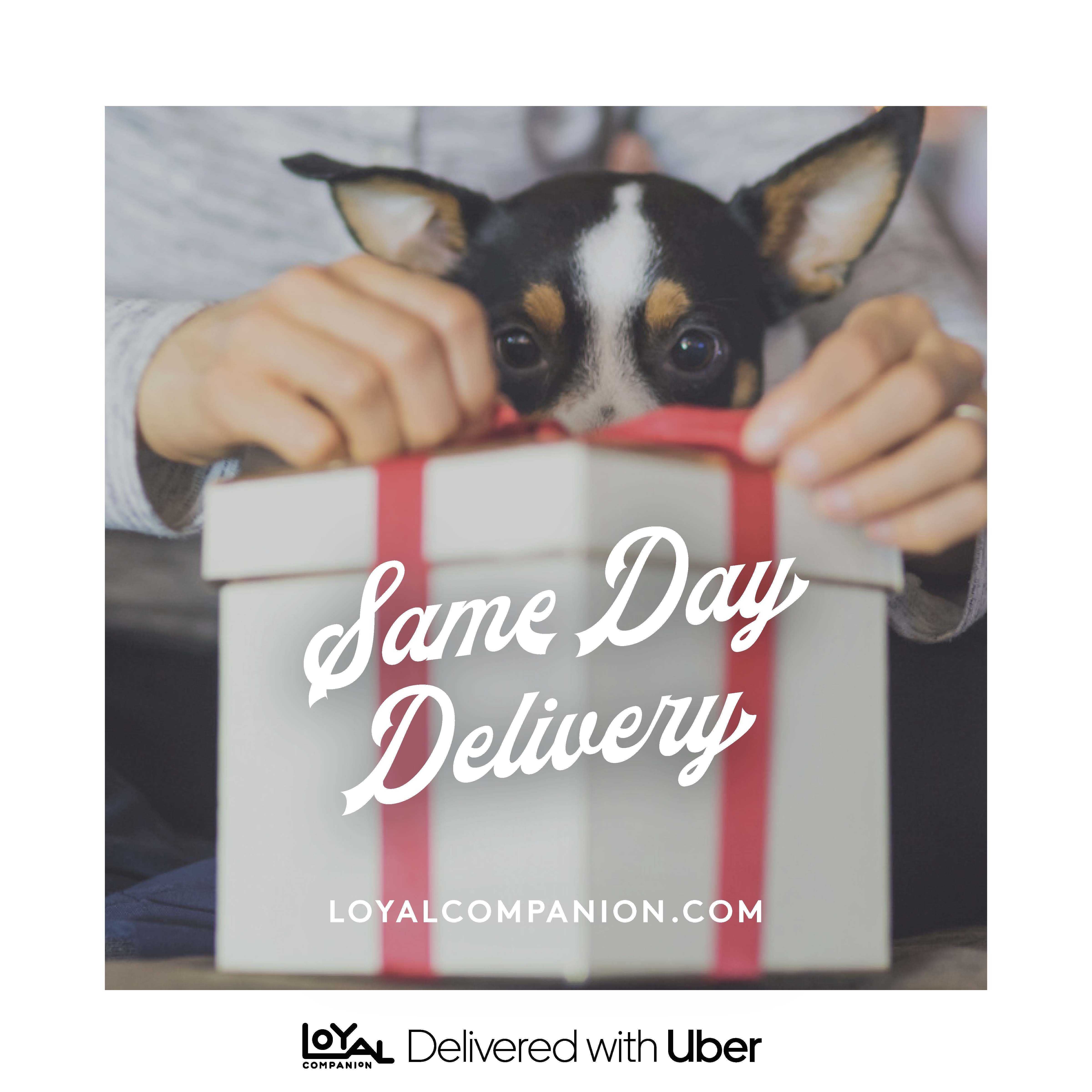 Independent Pet Partners announces Same Day Delivery with Uber