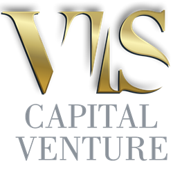 VIS Capital Venture Logo