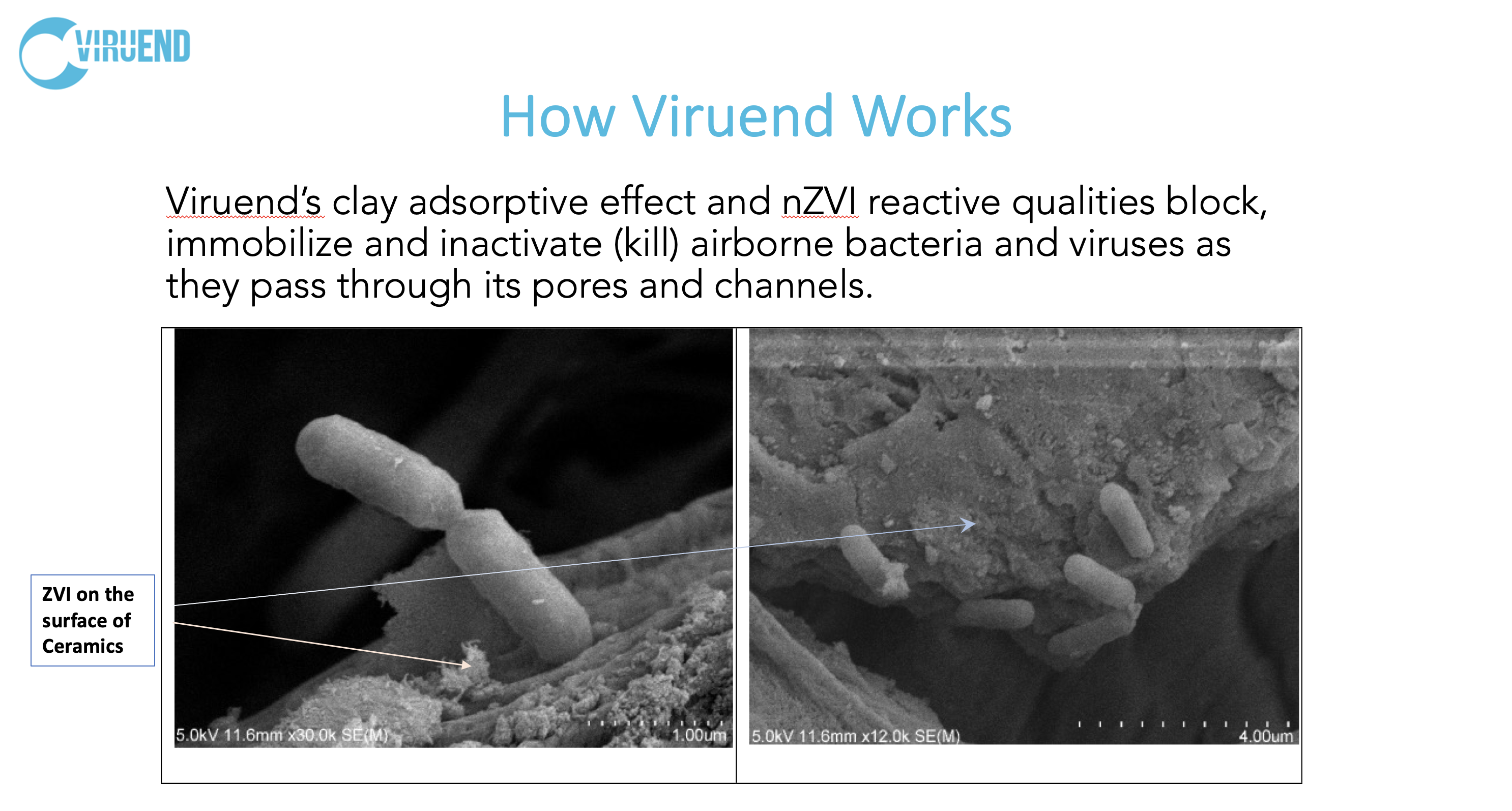 Viruend’s clay adsorptive effect and nZVI reactive qualities block, immobilize and inactivate (kill) airborne bacteria and viruses as they pass through its pores and channels.