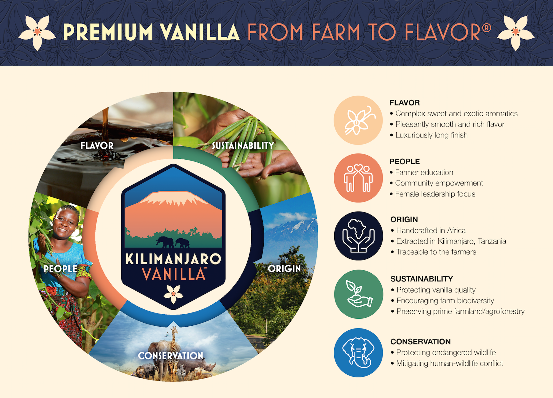 Premium Vanilla From Farm to Flavor