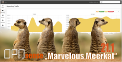 OPNsense 21.1 "Marvelous Meerkat"