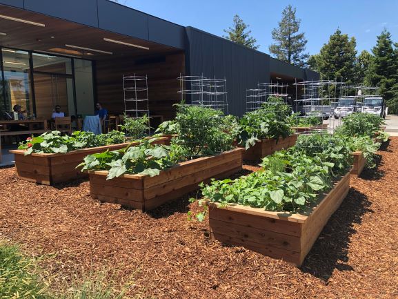 The program helps HPE employees develop the skills needed to grow a successful home garden of any size.