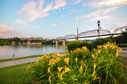 Spring in Chattanooga
