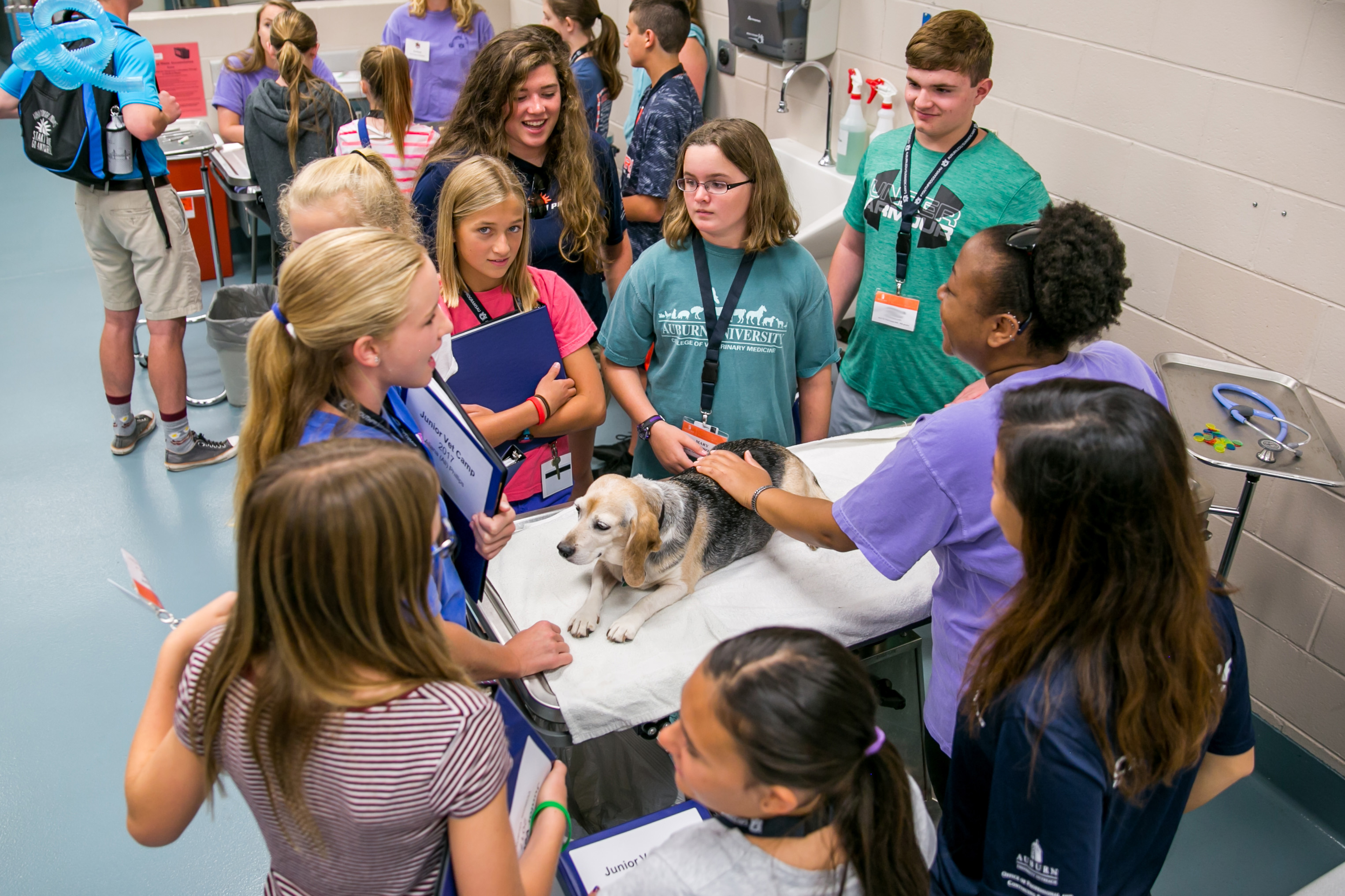 The Vet Set Go u201cBecome a Veterinarian Camp Contestu201d is open to students entering sixth through eighth grade in fall 2021.