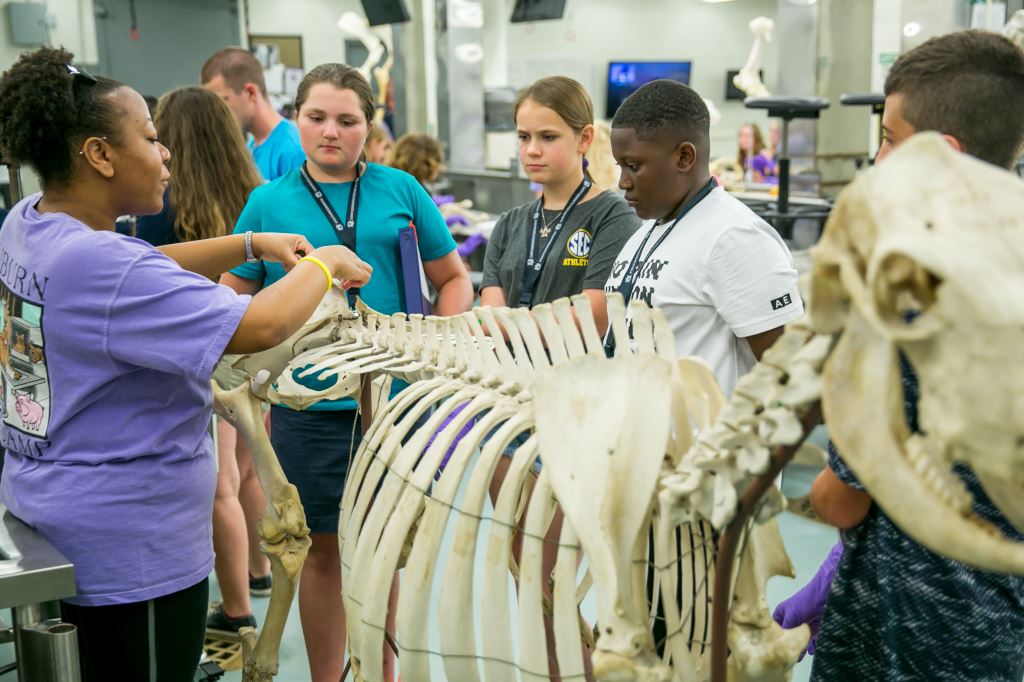 The Vet Set Go u201cBecome a Veterinarian Camp Contestu201d is open to students entering sixth through eighth grade in fall 2021.
