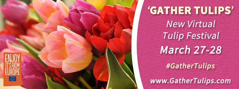 New Virtual Tulip Festival, 'Gather Tulips'. March 27-28th #GatherTulips