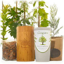 Bio Urn and Tree Burial System