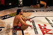 Elias Theodorou Secures Victory for Medical Cannabis in Professional Sport