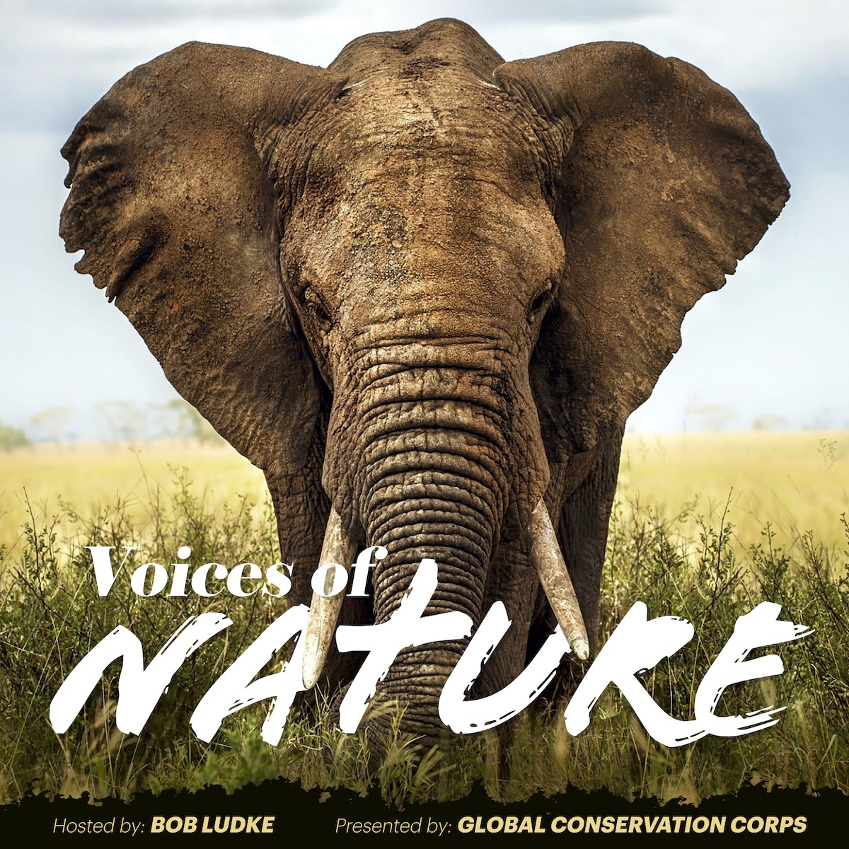GCC Presents Voices of Nature Podcast