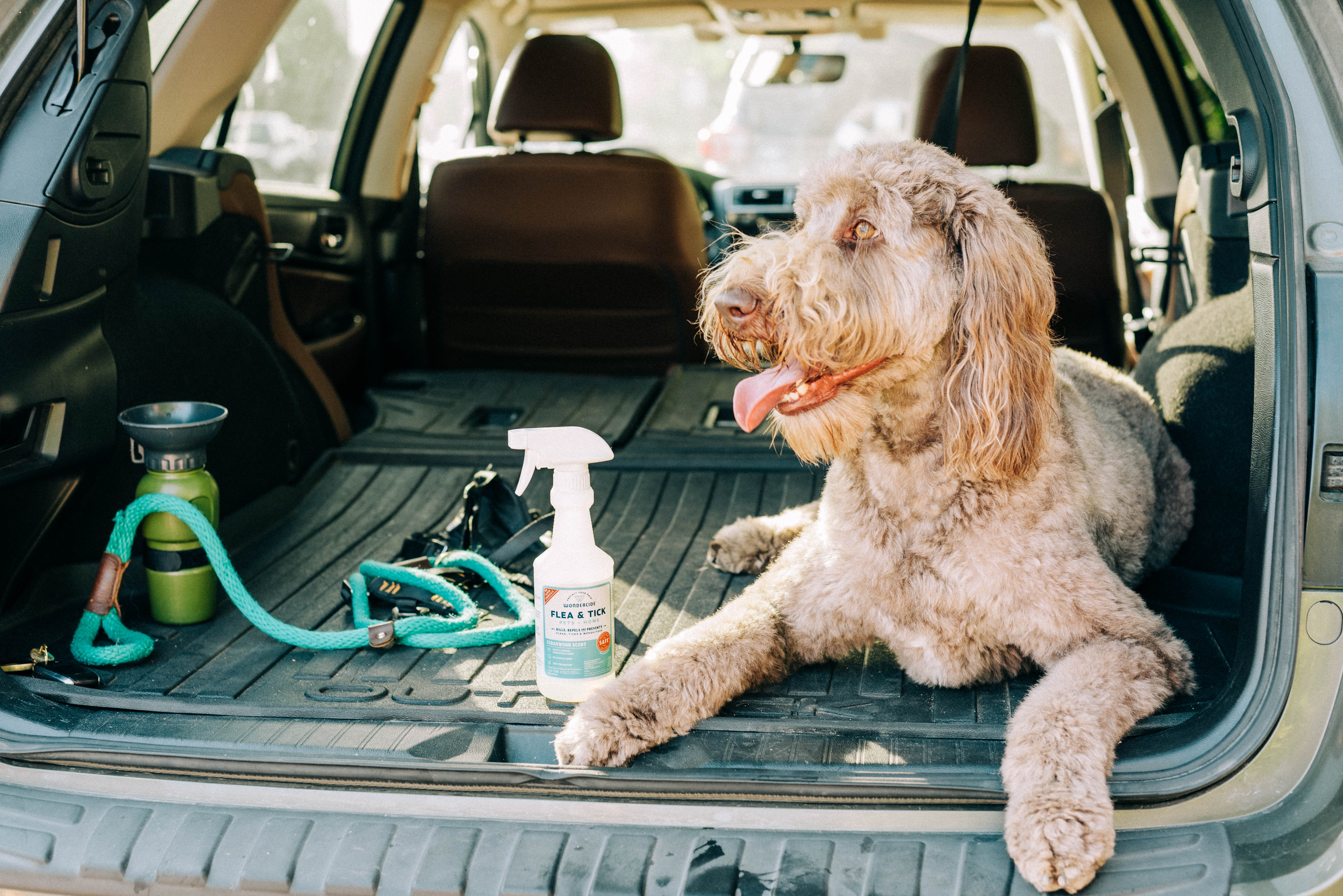 Wondercide Dog in Car Flea and Tick Spray 2021