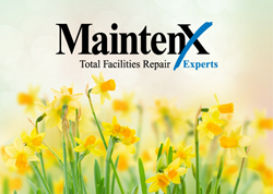 The MaintenX International logo above yellow daffodils.