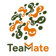 TeamMate Technology