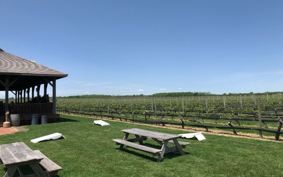 New York Wine Events' Private Day Trips to Wine Country for groups of 2-12+ feature sommelier-led experiences tasting wines, chatting with the makers, and enjoying top LI and Hudson Valley wineries.