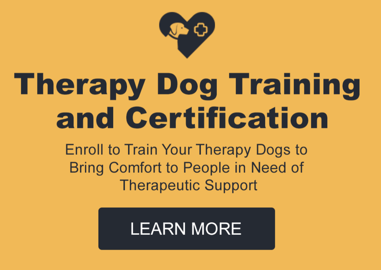 Therapy Dog Training Course