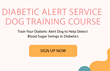 Online Diabetic Alert Dog Training