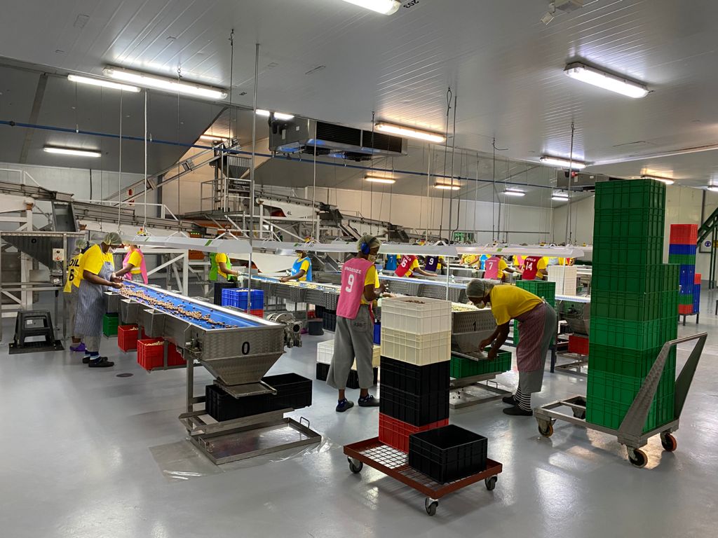 Ivory Macadamia Low's Creek processing facility