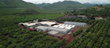 Ivory Macadamias Low's Creek facility and  spectacular landscape of the surrounding macadamia farm