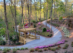 1,500 Encore azaleas, all 33 varieties have been planted to follow the walkways