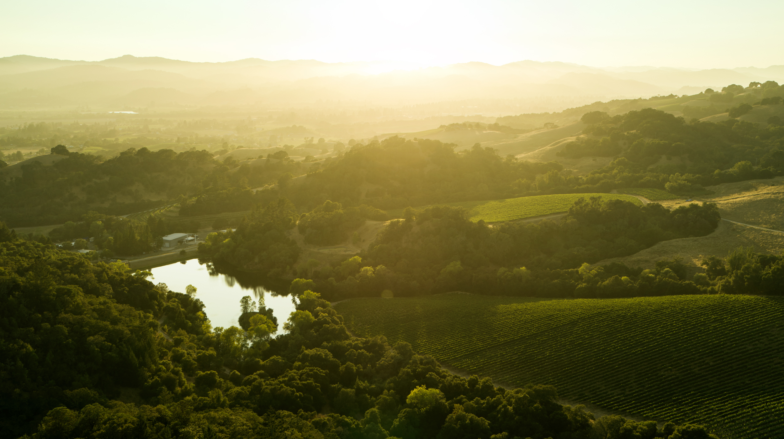 Tucked in hillsides and valleys along the Russian River, the area is defined by the foggy mornings and warm afternoons that are ideal for Pinot Noir, Chardonnay, and more.