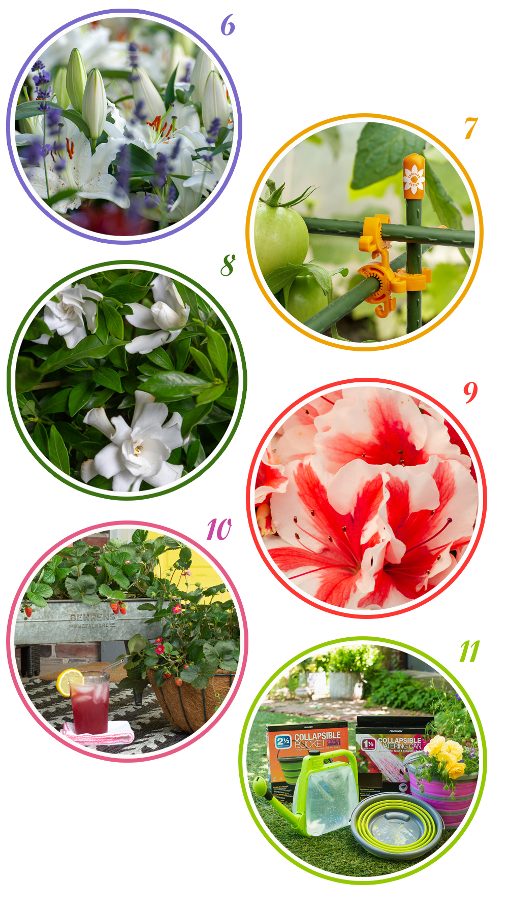 Flowerbulbs.com, Thriving Design, Southern Living® Plant Collection, Encore® Azalea, Bushel and Berry, Centurion Tools
