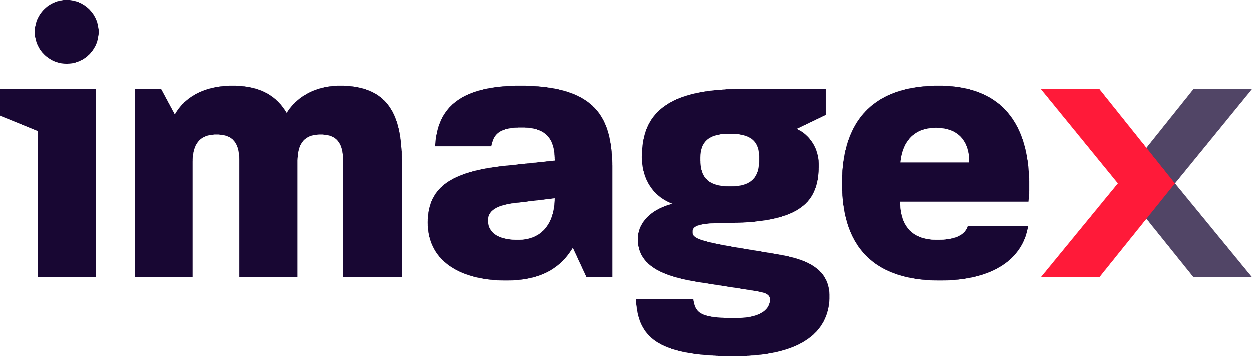 ImageX Logo