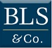 BLS & Co. helps some of the world’s largest corporations identify the best locations, secure incentives, obtain development approvals and optimize energy strategies.