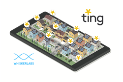 Graphic of Ting-protected homes in a community