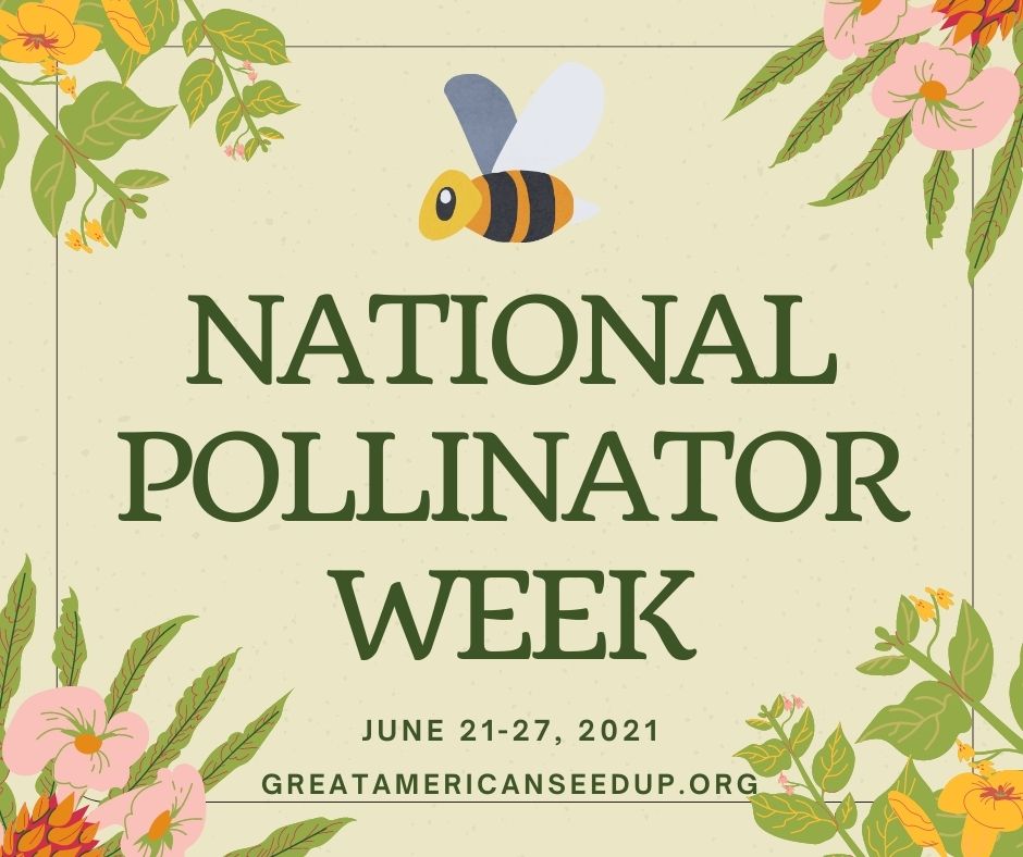 National Pollinator Week begins June 21, 2021.