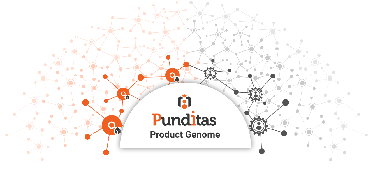 Punditas Product Genome