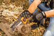 WORX 20V Power Share 5 in. Pruning Saw cuts branches up to 10 in. diameter.