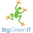 Business logo with cartoon frog and the words Big Green IT beneath it