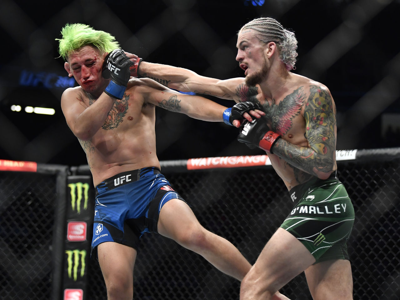 Monster Energy’s Sean O’Malley Defeats Kris Moutinho Via TKO at UFC 264