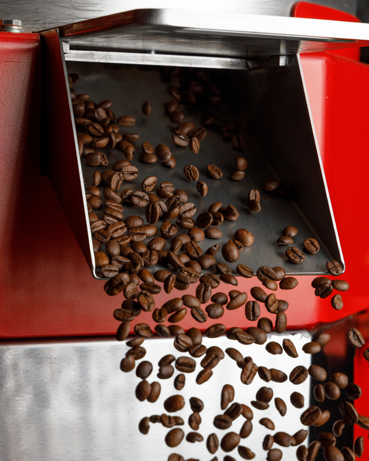 Roasted Coffee Beans - Lion Rush Coffee