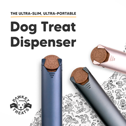 Portable dog treat outlet dispenser