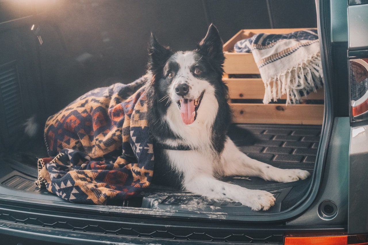3D® MATS Kagu All-Weather Cargo Liner-camping lifestyle image