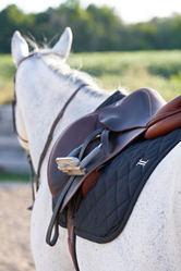 Thumb image for Data-driven Investor ClearAngel Supports Basics Equestrian with $10,000 Funding