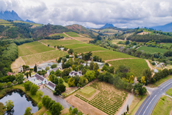 Thumb image for Cointreau Wine Estate Auction Comes as Demand for South African Wine Surges