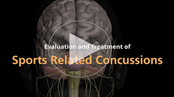 Sports Concussion Physical Therapy Continuing Education