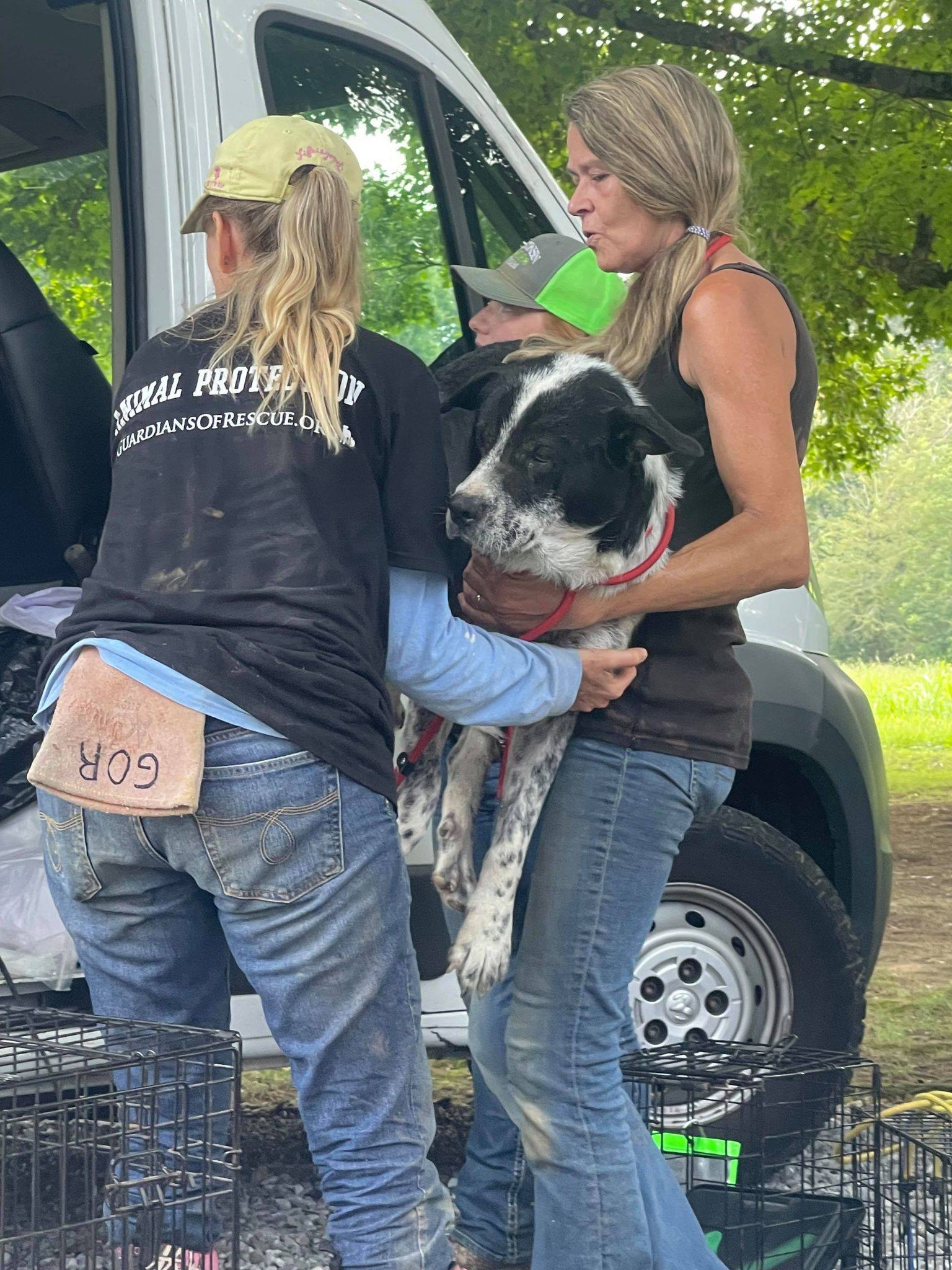 Photo courtesy of Guardians of Rescue