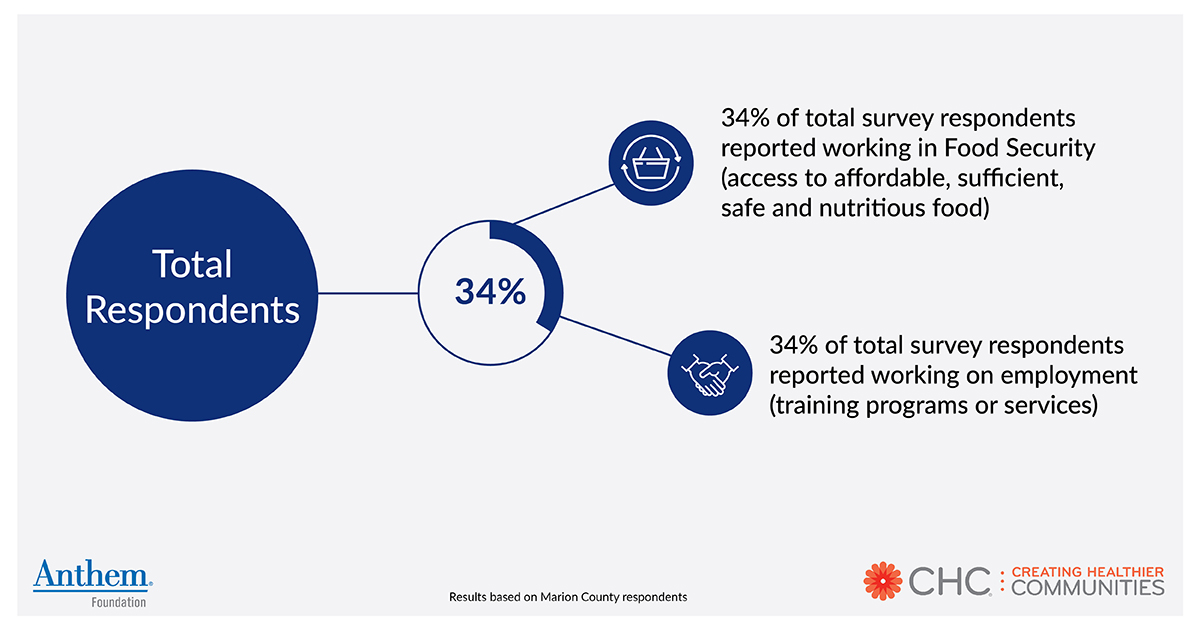 Health Equity Focus Area: Total respondents working in Food Security and Employment