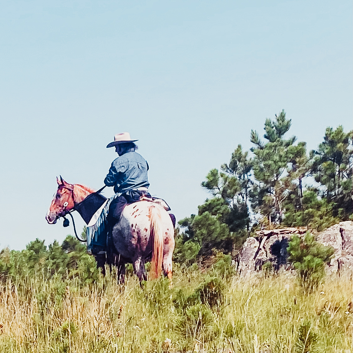 Willie on the trail at Hay Creek Ranch with his horse Magic.