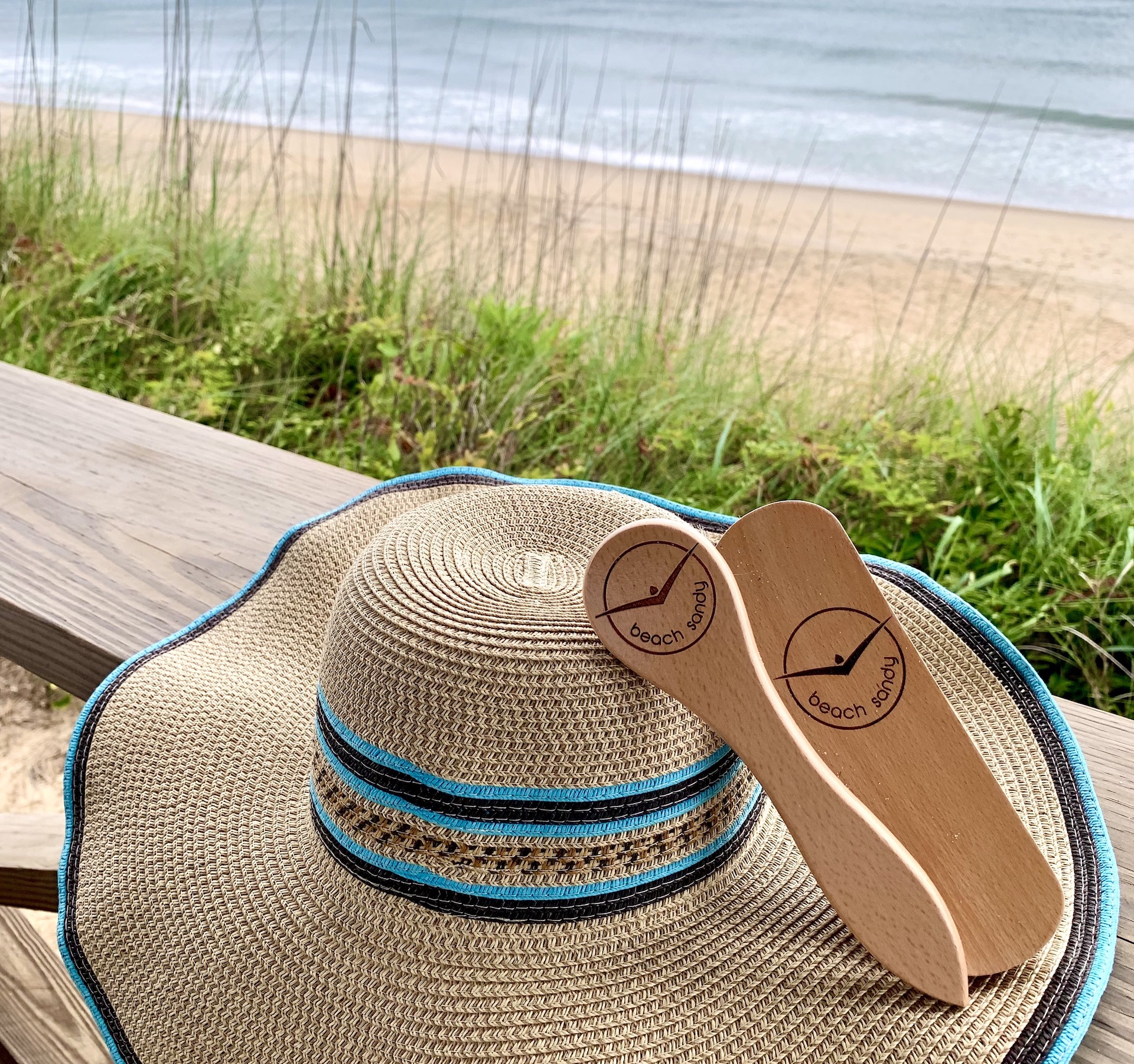 Beach Sandy Sand remover brushes from kit