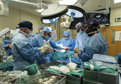 UofL Health - Jewish Hospital and University of Louisville physicians  performed the world's first implantation of the Aeson® bioprosthetic total artificial heart in a female patient on Sept. 14, 2021. Photo by UofL Health.