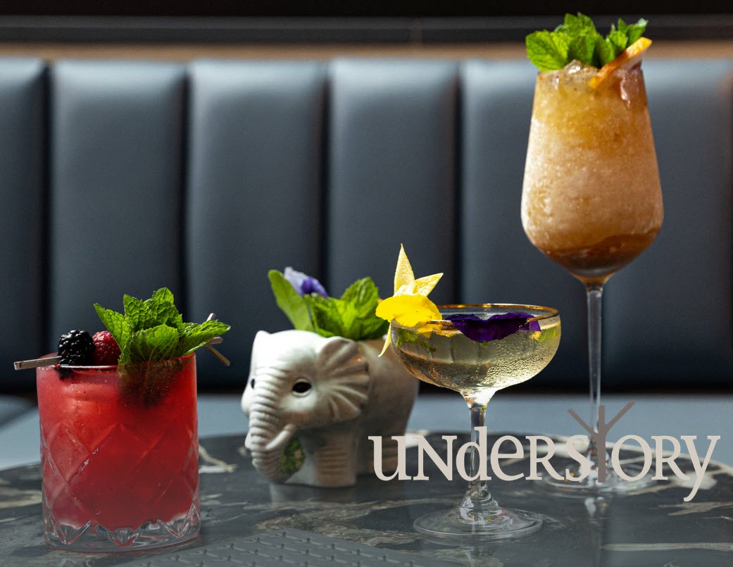 Understory, central cocktail bar, and dining concept in Del Mar Highlands Sky Deck