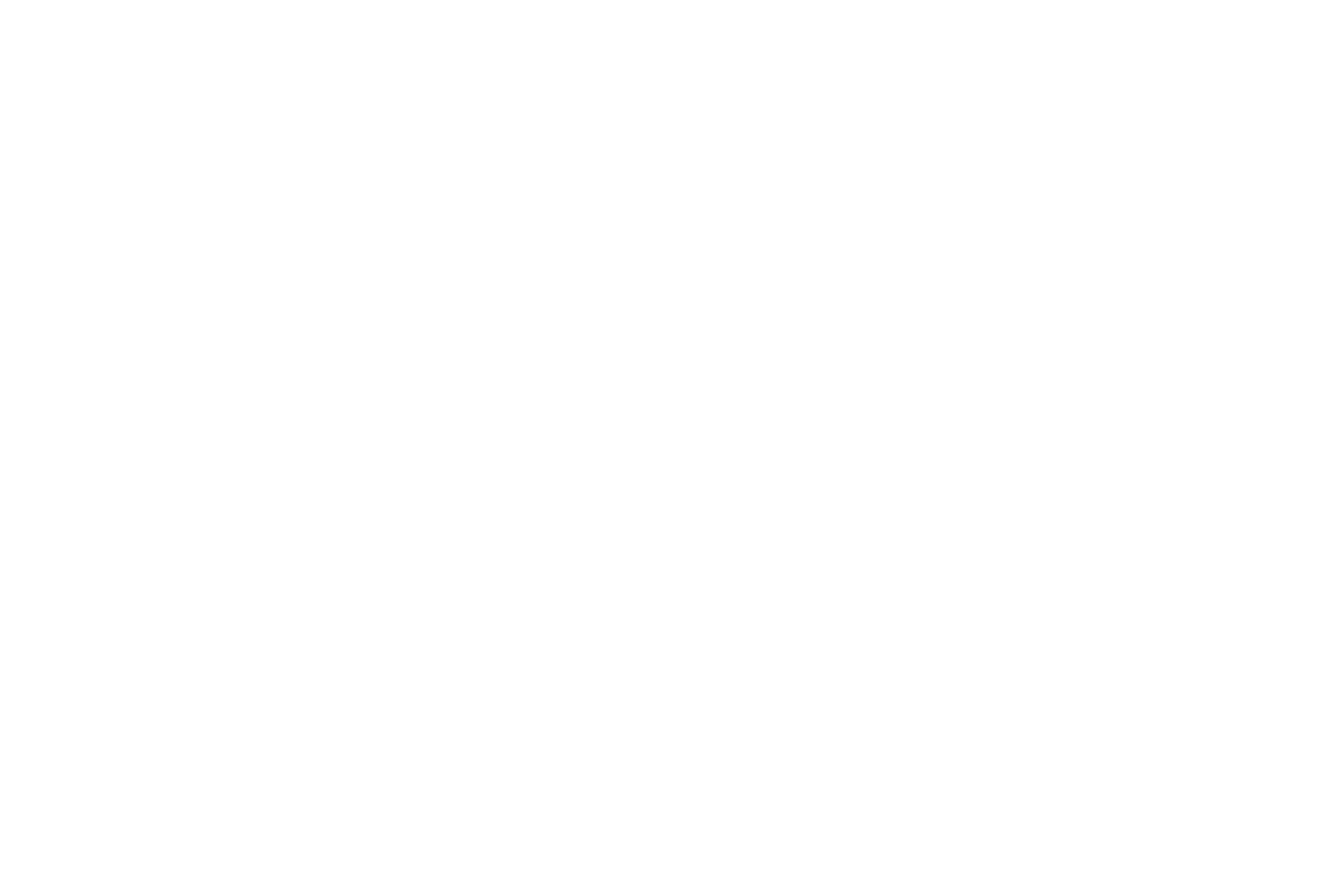 WiSE Logo white