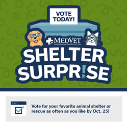 MedVet Shelter Surprise Voting