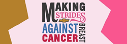 Pink and Gold American Cancer Society® Making Strides Against Breast Cancer® Graphic and Text