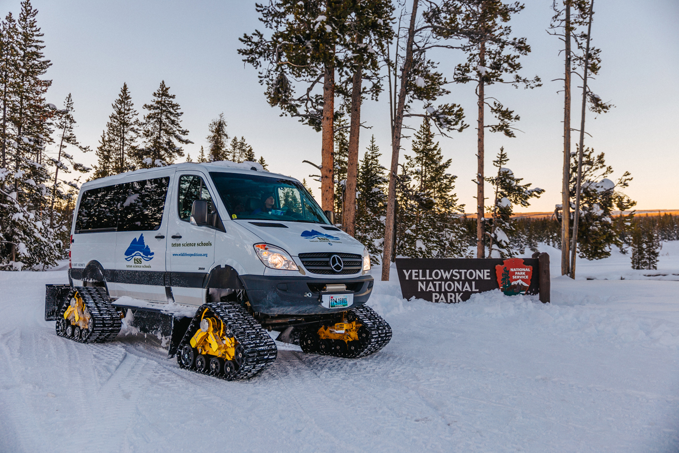 Wildlife Expeditions’ specially outfitted Mercedes-Benz snow coaches offer superior traction for wild snowy roads and oversize roof hatches and windows for easy viewing (PC: Teton Science Schools).